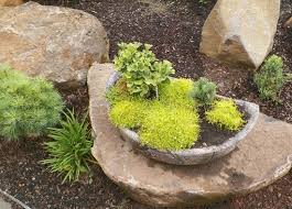 mini rock garden picture of the