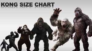 King Kong Sizes And Movie Apes