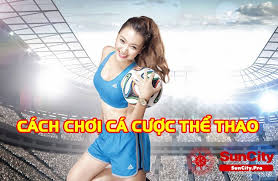 Worldcup Việt Nam Phương PháP Và CáCh Chơi Casino ChuẩN