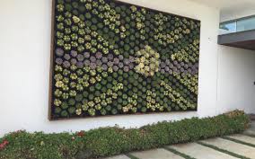 Planning Your Succulent Living Wall