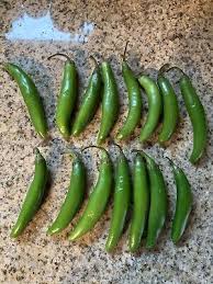 25 texas serrano pepper seeds chile