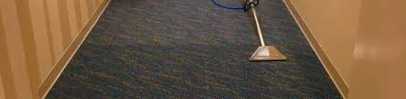 color revival carpet cleaning dye pro