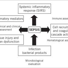 Read about symptoms, treatment and risk factors for sepsis. Pdf Diagnostic Methods In Sepsis The Need Of Speed
