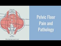 pelvic floor pain and pathology