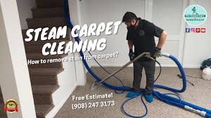 steam carpet cleaning short hills nj