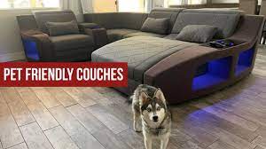 best pet friendly sofas and sectionals