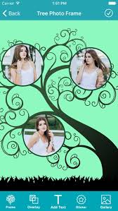 tree photo collage maker pic frame