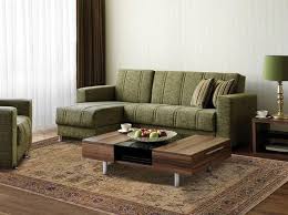 rugs that go with green couch 7