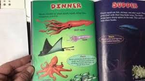 who would win whale vs giant squid