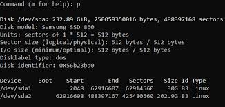 how to set up zfs file system for