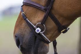 How To Find The Right Bit Size For Your Horse Trust