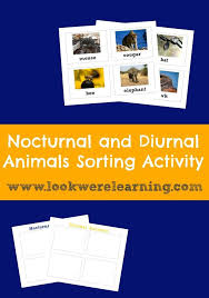 Nocturnal And Diurnal Animals Sorting Activity Diurnal
