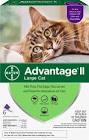 II for Large Cats Advantage