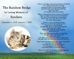 I always think of my darling missie who died in an accident. Personalized Rainbow Bridge Pet Loss Memorial Poem Dog Cat 8x10 Print With Photo Ebay