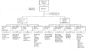 Example Of Organizational Chart In Resort Www