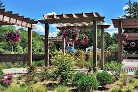 Les pélargoniums ou géraniums de balcon se plantent en jardinières ou en massifs au printemps, quand les températures se sont bien radoucies. Plantas Colgantes Que Son Caracteristicas Cuidados Usos Variedades