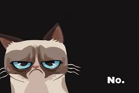 Angry Cat Wallpapers Top Free Angry