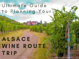 the alsace wine route