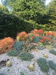 Two Drought And Heat Tolerant Gardens