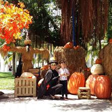 great outdoor halloween decorations for