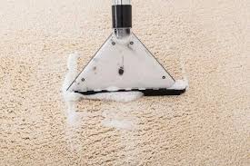 professional carpet cleaning services