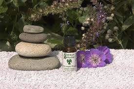on angels wings aromatherapy oil blend