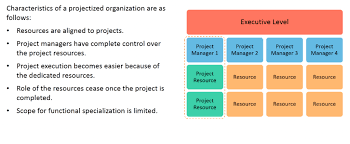Organization Structure Projectized Organization