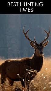 Solunar Best Hunting Times Includes Hd Deer Calls Moon