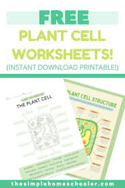 plant cell worksheets with answer key