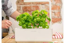 Instead, our system considers things like how recent a review is and if the reviewer bought the item on amazon. 10 Best Indoor Herb Gardens And Garden Kits Uk London Evening Standard Evening Standard