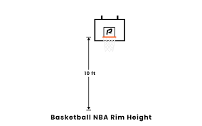basketball rim height