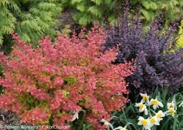 Add flowers to your shade garden. The Best Low Maintenance Plants For Your Landscape Diy
