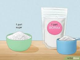 how to get rid of roaches with borax 5