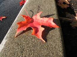 How To Get Leaf Stains Off Concrete Ehow