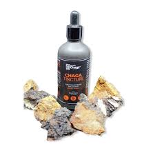 organic chaga tincture dual extract