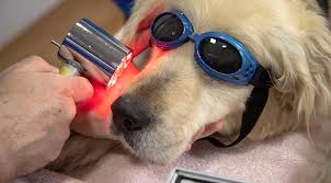 laser therapy edge hospital