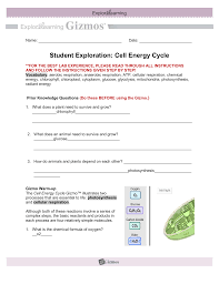 Find a+ essays, research papers, book notes, course notes and writing tips. Student Exploration Cell Energy Cycle 1
