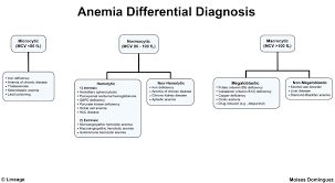 Iron Deficiency Anemia Hematology Medbullets Step 1