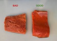How do you know if salmon is gone bad?