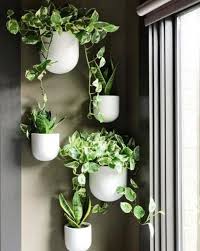 Wall Planters For Home Installation