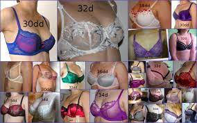 What does it mean to wear D or DD cups? | Bra Fitting Cidade