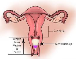 best menstrual cups for low high cervix