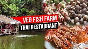 Official page of veg fish farm thai restaurant for more information: Fresh Seafood At Veg Fish Farm Thai Restaurant èœå›­é…'å®¶ Ampang Things To Eat In Kuala Lumpur Youtube