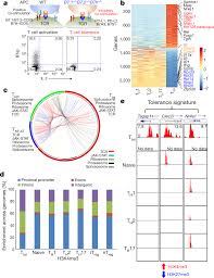 Genome Wide Analysis Identifies Nr4a1 As A Key Mediator Of T