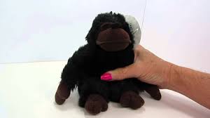 talking chimp dog toy