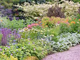 how to plant a border garden that will
