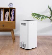 What Are Air Purifiers Used For Cas