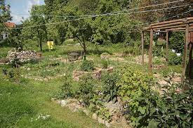 Permaculture Wikipedia
