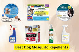 7 best dog mosquito repellents of 2024