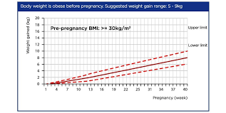 how to calculate your pregnancy bmi